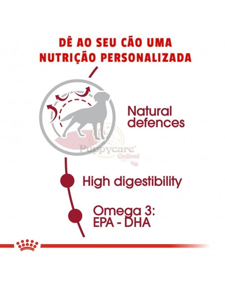 Royal Canin SHN Médium Adult Alimento Seco Cão