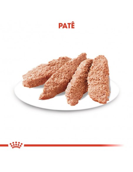 Royal Canin Dermacomfort Alimento Húmido Cão