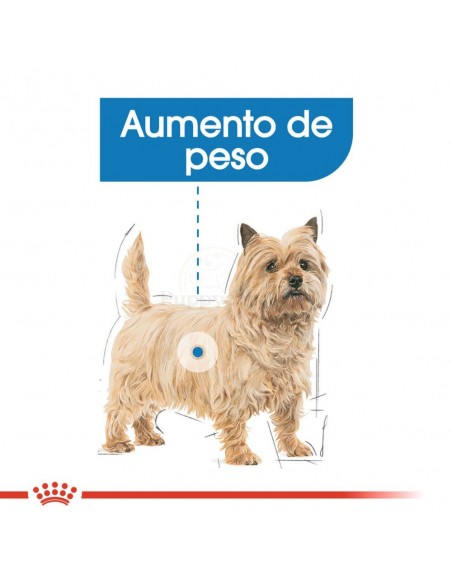 Royal Canin Light Weight Care Alimento Húmido Cão