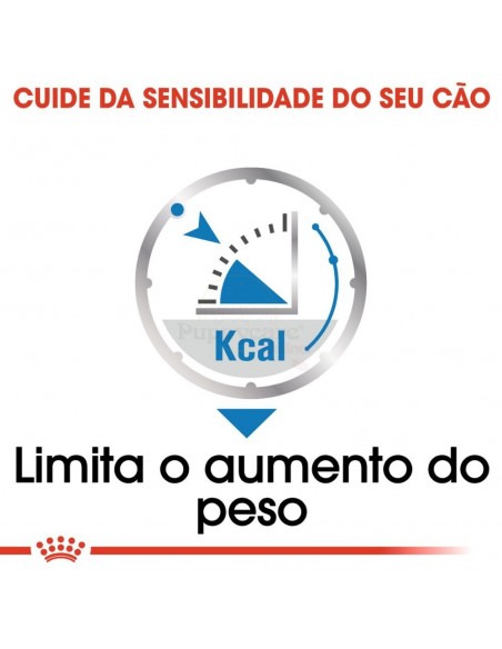 Royal Canin Light Weight Care Alimento Húmido Cão