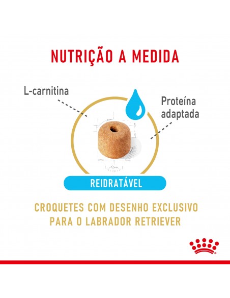 Royal Canin BHN Labrador Retriever Adult 5+ Alimento Seco Cão