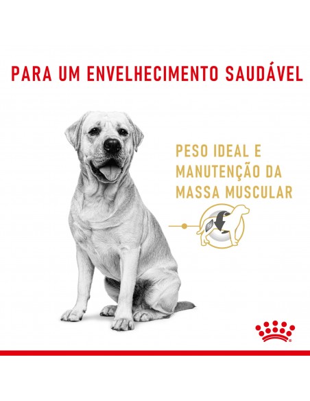 Royal Canin BHN Labrador Retriever Adult 5+ Alimento Seco Cão
