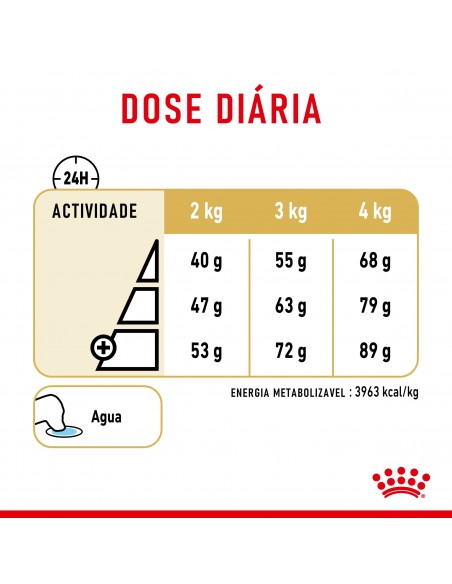 Royal Canin BHN Yorkshire Terrier Adult 8+ Alimento Seco Cão