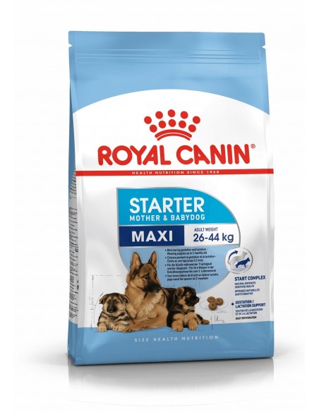 Royal Canin Cão Maxi Starter