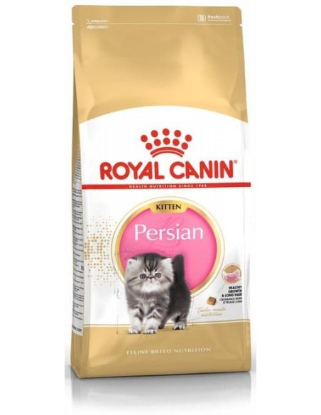 Royal Canin Gato Kitten Persian