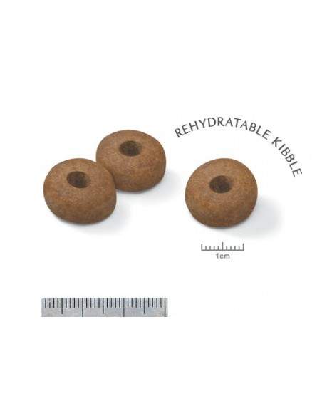 Biscoito Royal Canin Cão Maxi Adulto 8+
