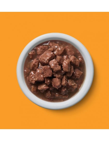 Lily´s Kitchen Gato Frango