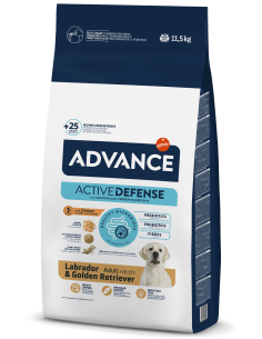 Advance Cão Labrador e Golden Retriever Adulto 11.5 Kg