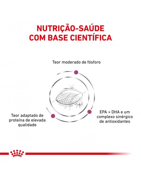 Royal Canin Cão VD Early Renal