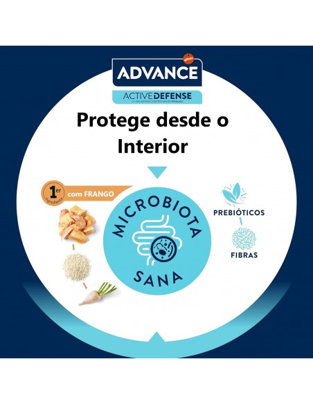 Advance Gato Junior Sterilised