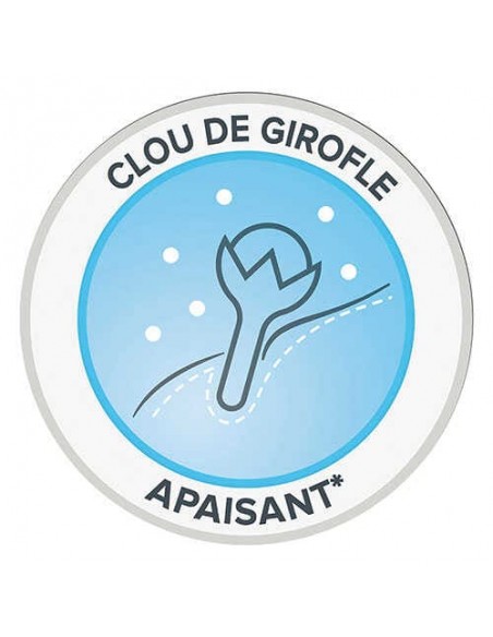 Pro Plan Cão Snacks Dental Small 345 Gr