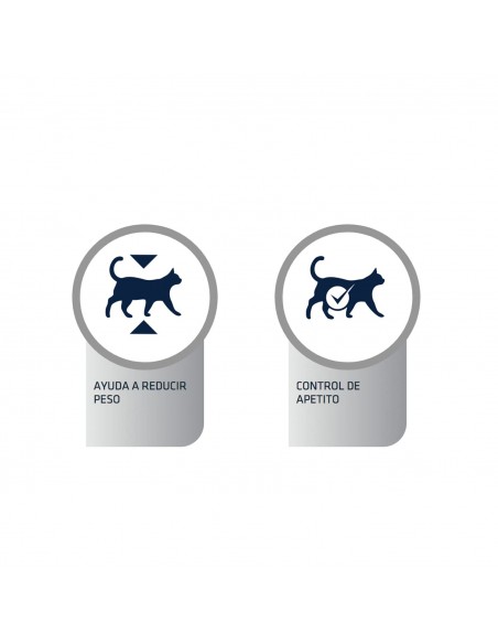 Advance Gato VD Weight Balance Húmido