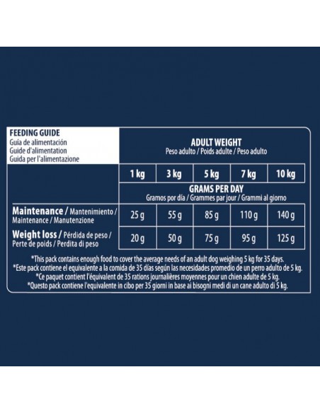 Advance Cão Mini Light