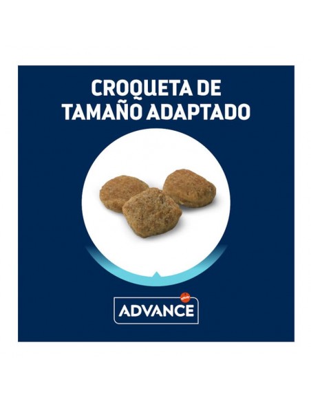 Advance Cão Mini Light