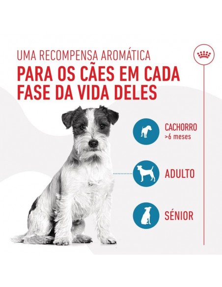 Royal Canin Cão Training Treats 110 Gr