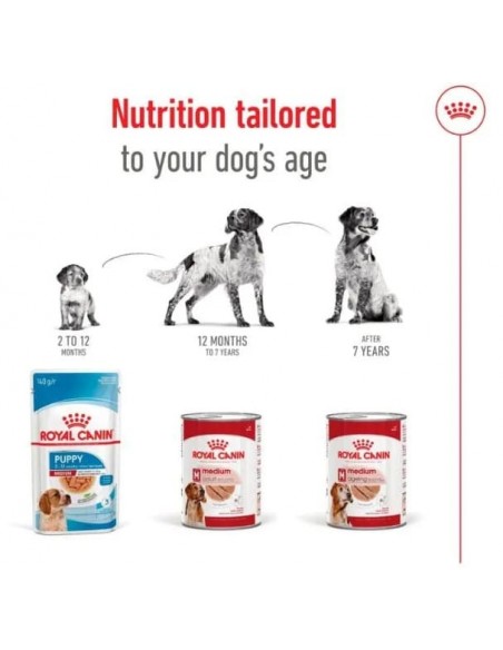 Royal Canin Cão Medio Ageing Humido