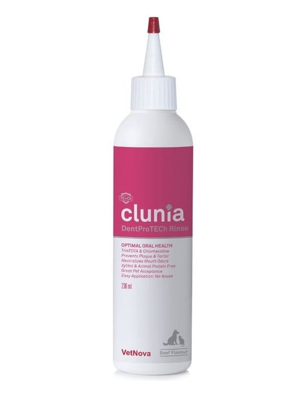 Clunia