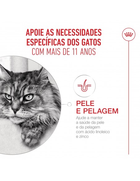 Royal Canin Gato Senior 11+  Saquetas (Molho)