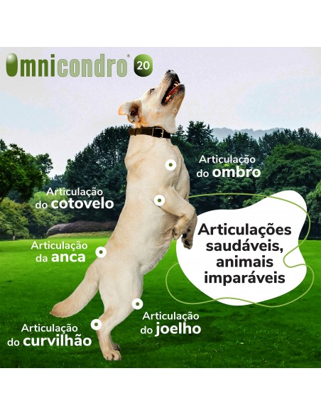 Omnicondro 20 60 Comprimidos