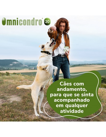 Omnicondro 20 60 Comprimidos