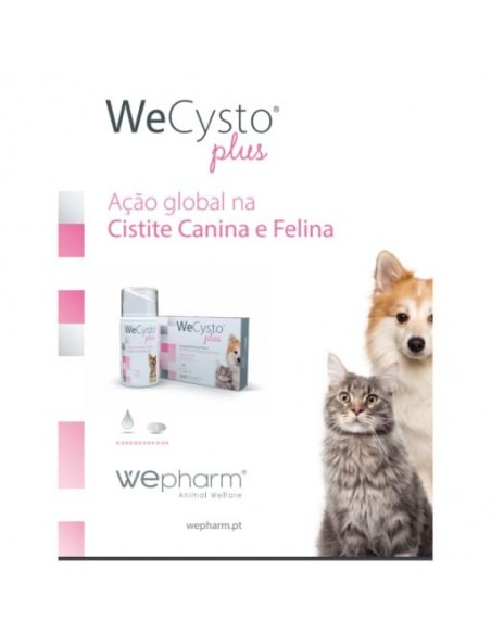 WeCysto