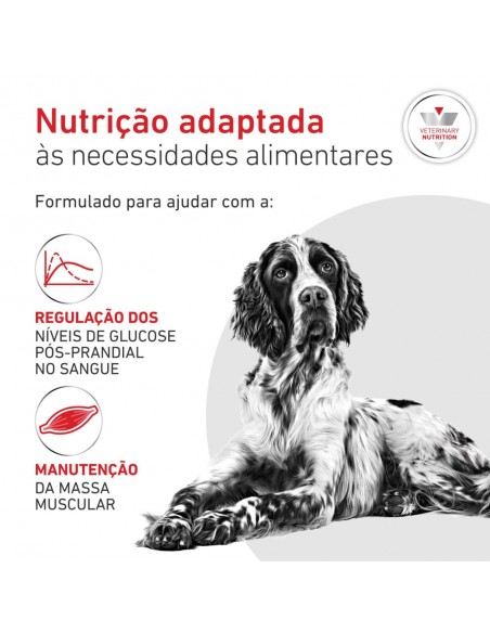 Royal Canin VD Cão Lata Glycobalance