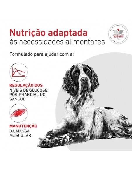 Royal Canin VD Cão Glycobalance