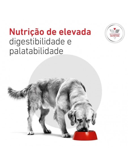 Royal Canin VD Cão Glycobalance