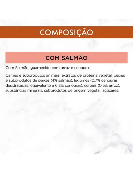 Gourmet Soup Royale Frango