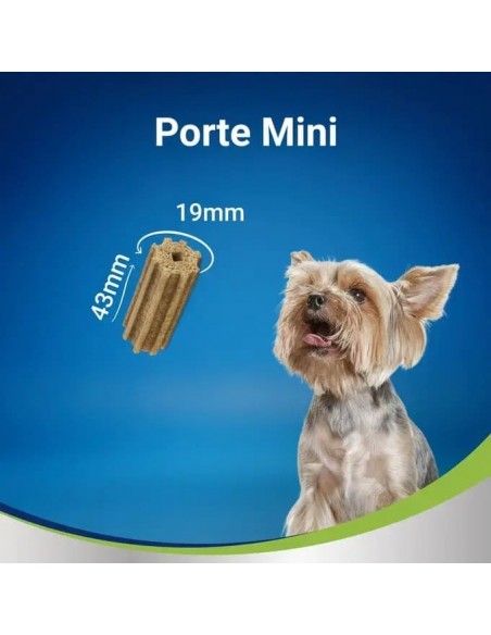 Dentalife Snacks Oral Care Porte Mini