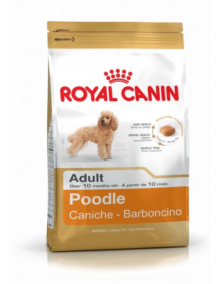 Royal Canin Breed Health Nutrition Poodle Adult Alimento Seco Cão