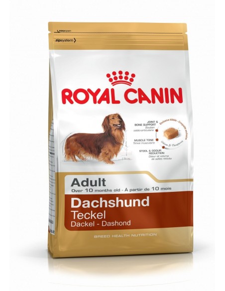 Royal Canin Breed Health Nutrition Dachshund Adult Alimento Seco Cão
