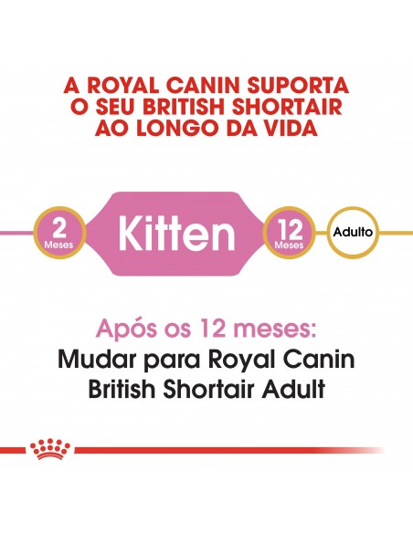 Royal Canin Gato Feline Beed Nutrition Kitten British Shorthair Alimento Seco Gato