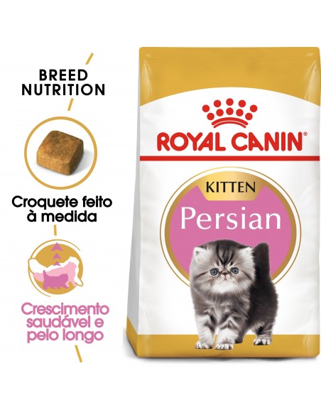 Royal Canin Feline Beed Nutrition Kitten Persa Alimento Seco Gato