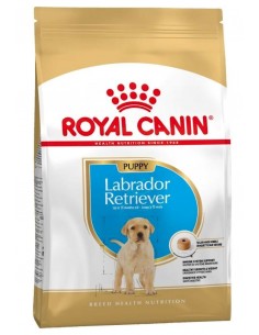 Royal Canin Labrador Retriever Puppy