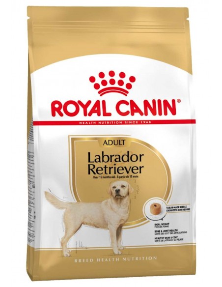 Royal Canin Labrador Retriever Adulto