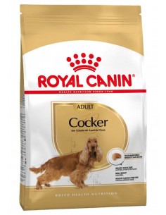 Royal Canin Cão Cocker Adulto