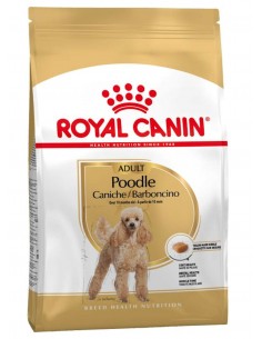 Royal Canin Cão Poodle Adulto