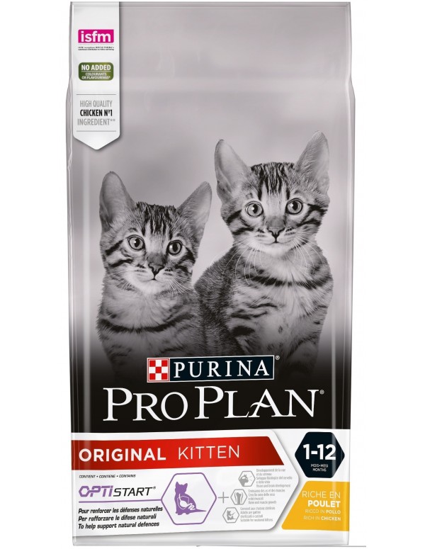 Pro Plan Kitten Original Alimento Seco Gato