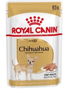 Royal Canin Chihuahua Adulto