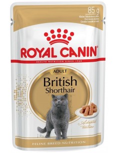 Royal Canin Gato British Shorthair