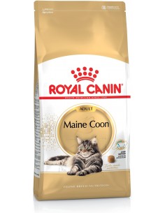 Royal Canin FBN Maine Coon Adulto