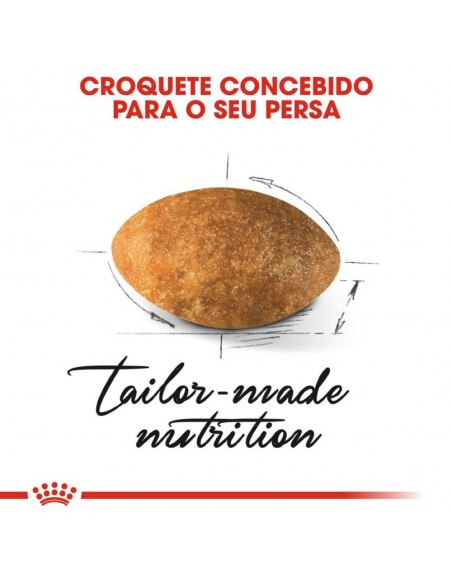 Croquete Royal Canin Persa
