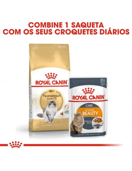 Royal Canin FBN Norwegian Forest Adult Alimento Seco Gato