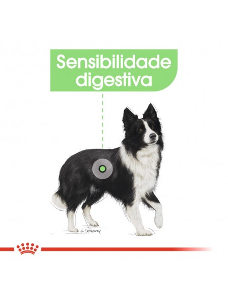 Sensibilidade digestiva Royal Canin Cão Médio Digestive