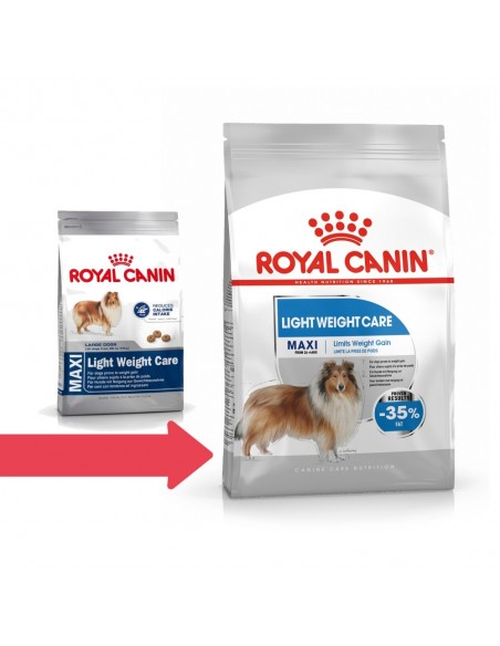 Royal Canin SHN Maxi Light Weight Care Alimento Seco Cão