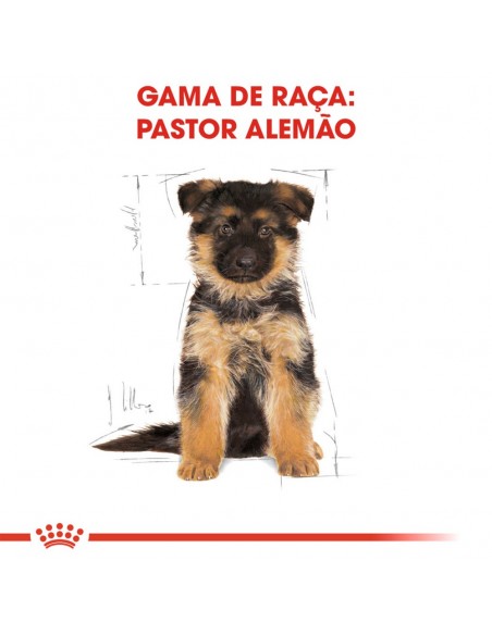 Royal Canin BHN German Shepherd Puppy Alimento Seco Cão