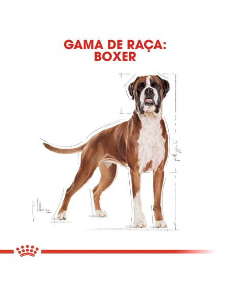 Royal Canin BHN Boxer Adult Alimento Seco Cão