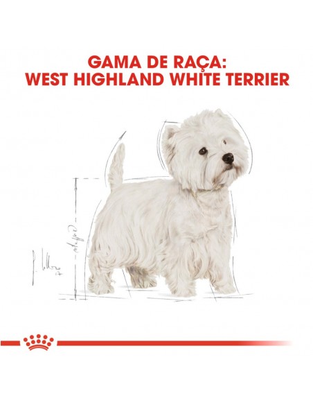 Royal Canin BHN West Highland White Terrier Adult Alimento Seco Cão