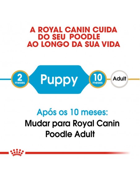 Royal Canin BHN Poodle Puppy Alimento Seco Cão